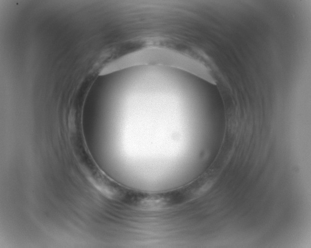 X0000082160213200702021709