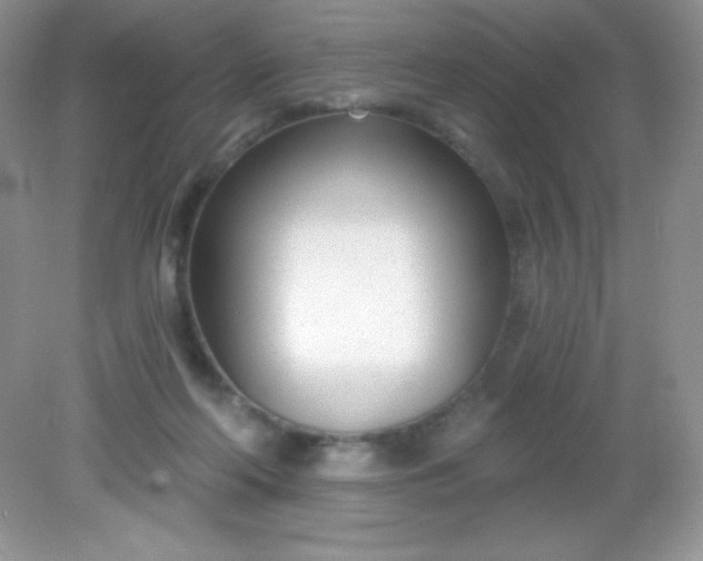 X0000082160214200702021709