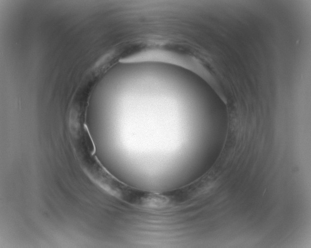 X0000082160215200702021709