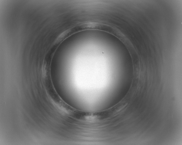 X0000082160216200702021709