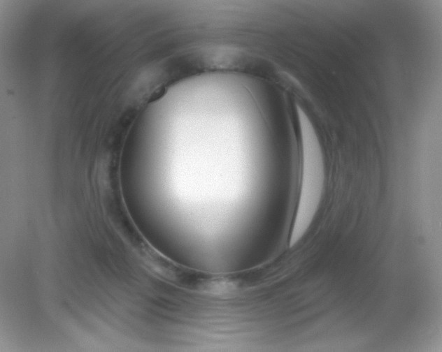 X0000082160217200702021709