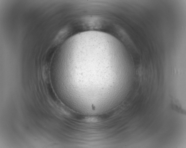 X0000082160218200702021709