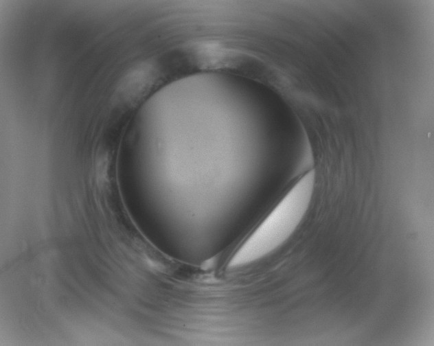 X0000082160219200702021709