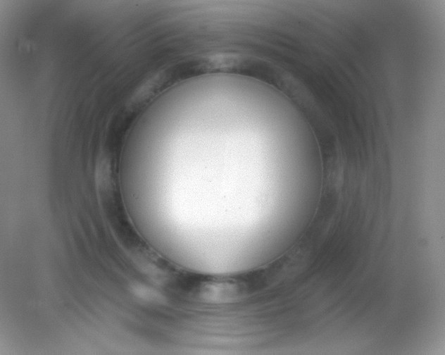 X0000082160220200702021709