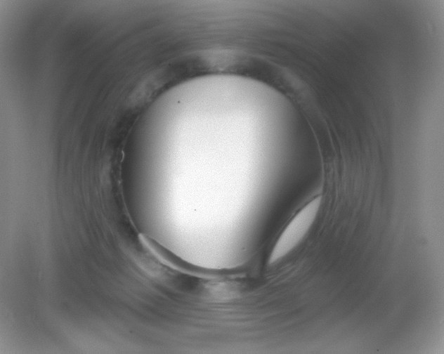 X0000082160221200702021709