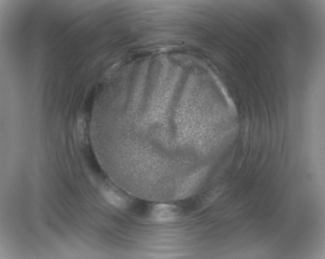 X0000082160222200702021709