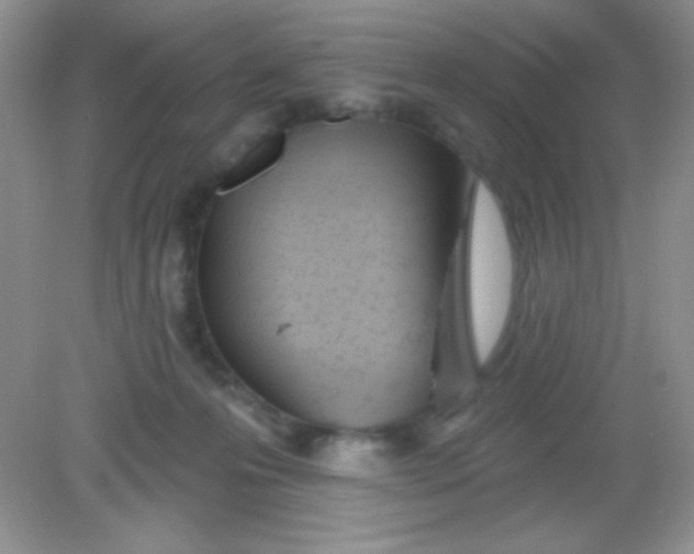 X0000082160223200702021709