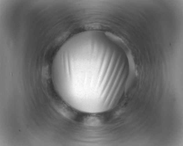 X0000082160224200702021709