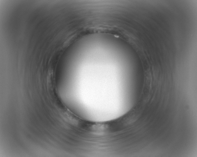 X0000082160225200702021709