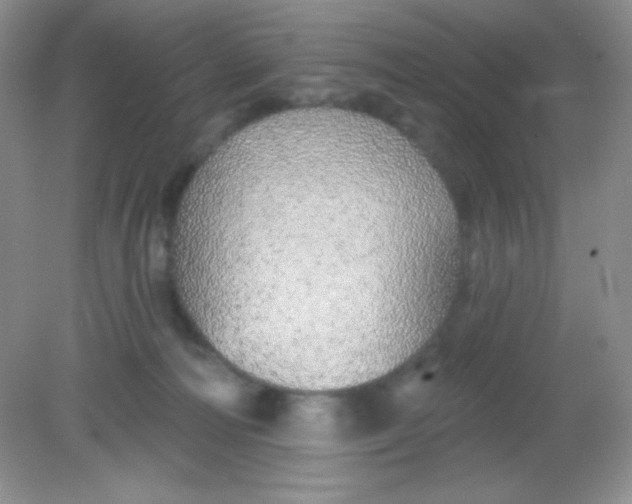 X0000082160226200702021709