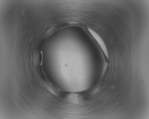 X0000082160227200702021709