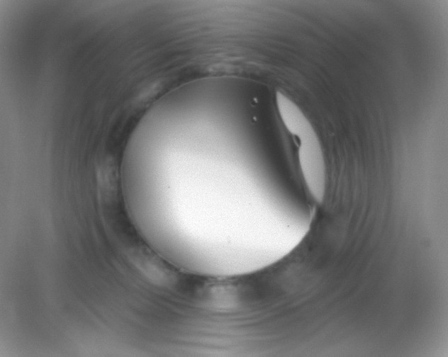 X0000082160228200702021709