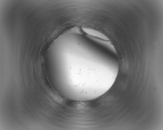 X0000082160229200702021709