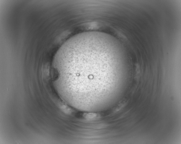 X0000082160230200702021709