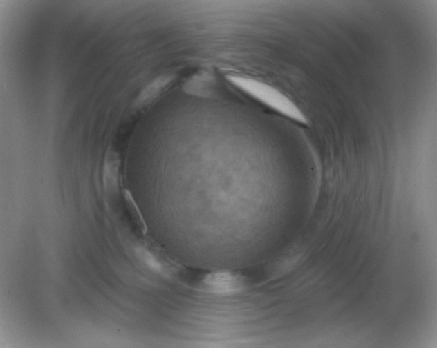 X0000082160231200702021709