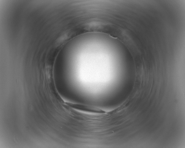 X0000082160232200702021709