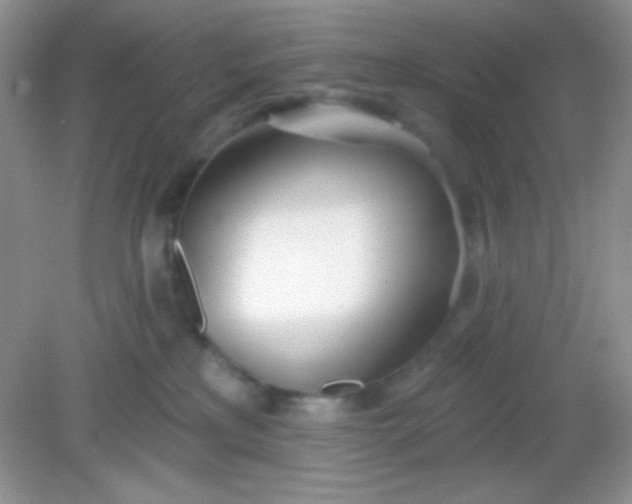 X0000082160233200702021709