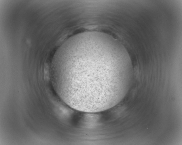 X0000082160234200702021709