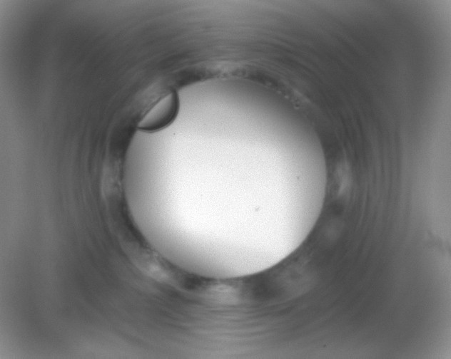 X0000082160236200702021709