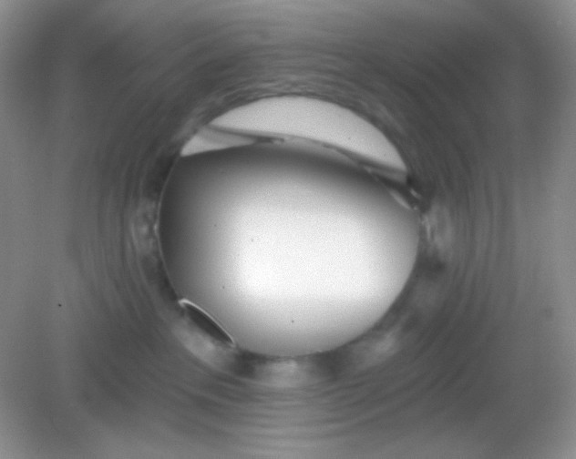 X0000082160237200702021709