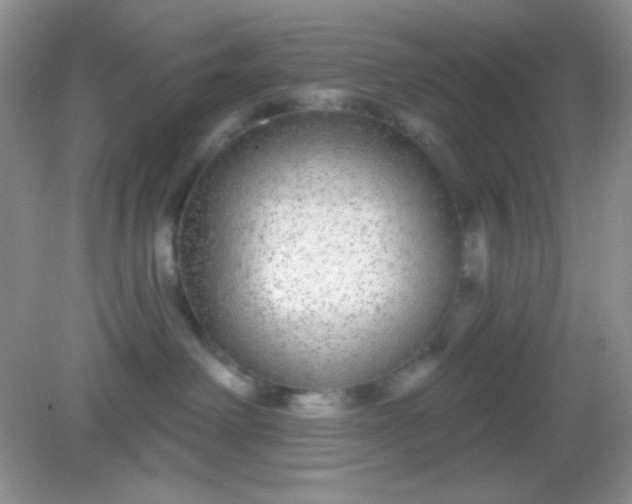 X0000082160238200702021709