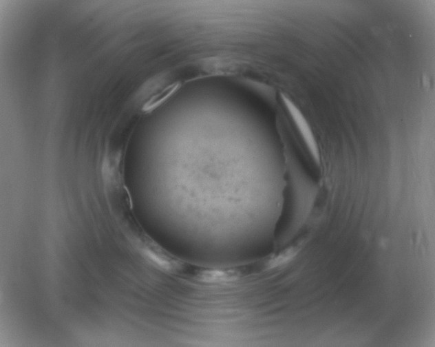 X0000082160239200702021709