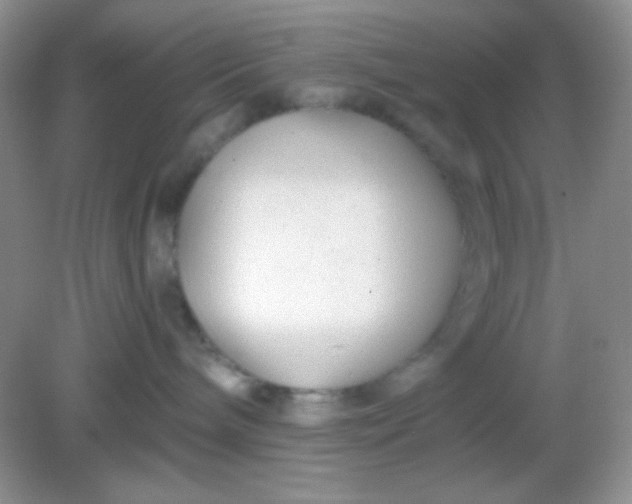 X0000082160240200702021709