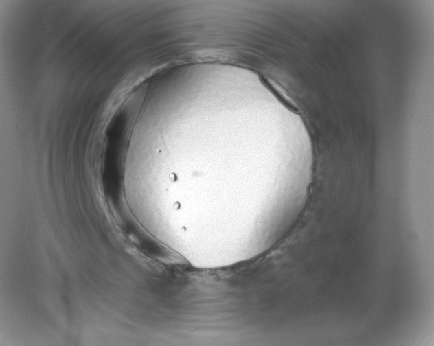 X0000082160241200702021708