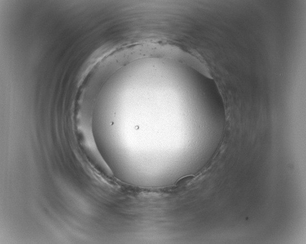 X0000082160242200702021708