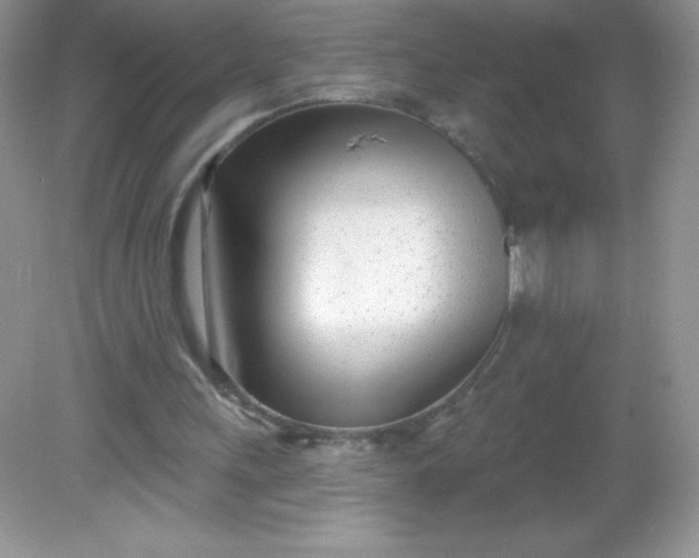 X0000082160243200702021708