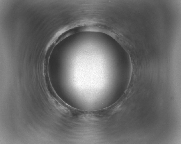 X0000082160244200702021708