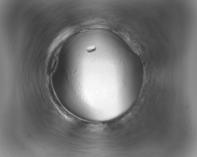 X0000082160245200702021708