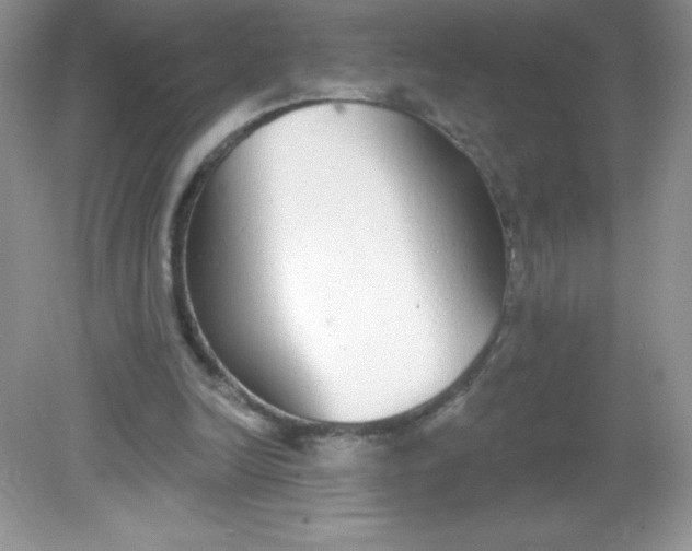 X0000082160246200702021708