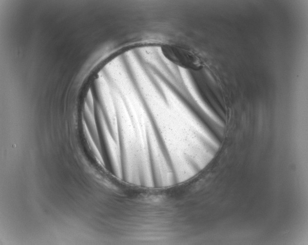 X0000082160247200702021708