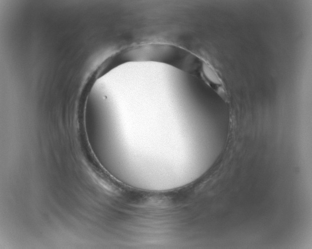 X0000082160248200702021708