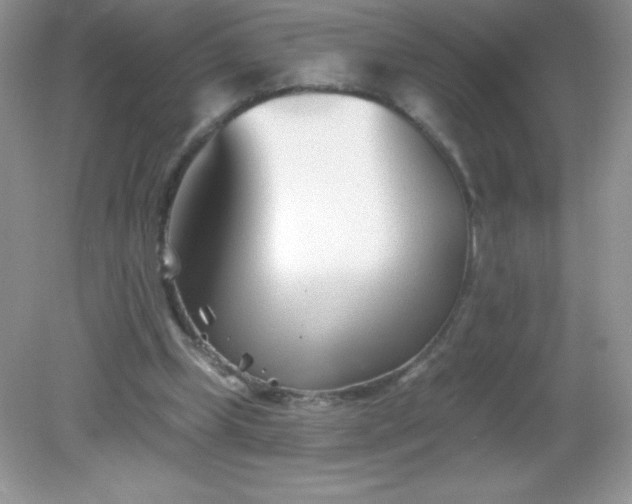 X0000082160249200702021708