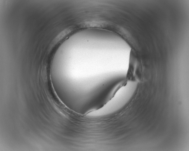 X0000082160250200702021708