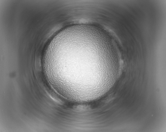 X0000082160251200702021708