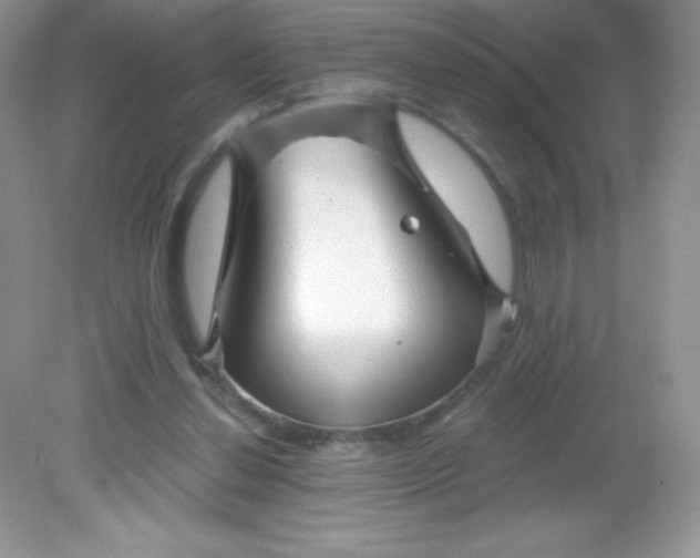 X0000082160252200702021708