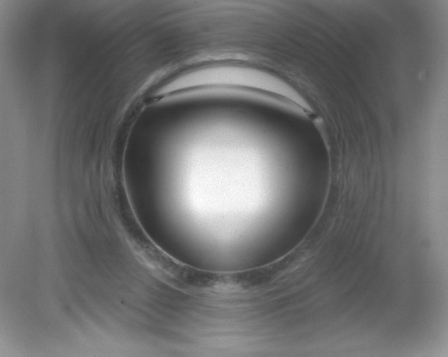 X0000082160256200702021708