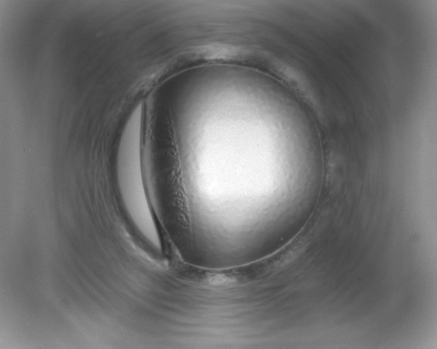 X0000082160257200702021708