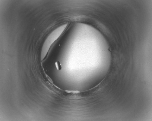 X0000082160258200702021708