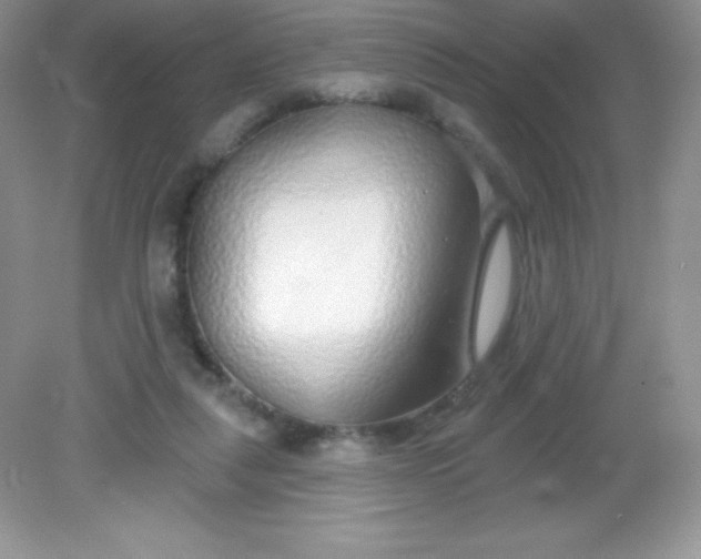 X0000082160259200702021708