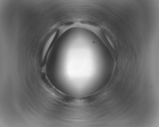 X0000082160260200702021708