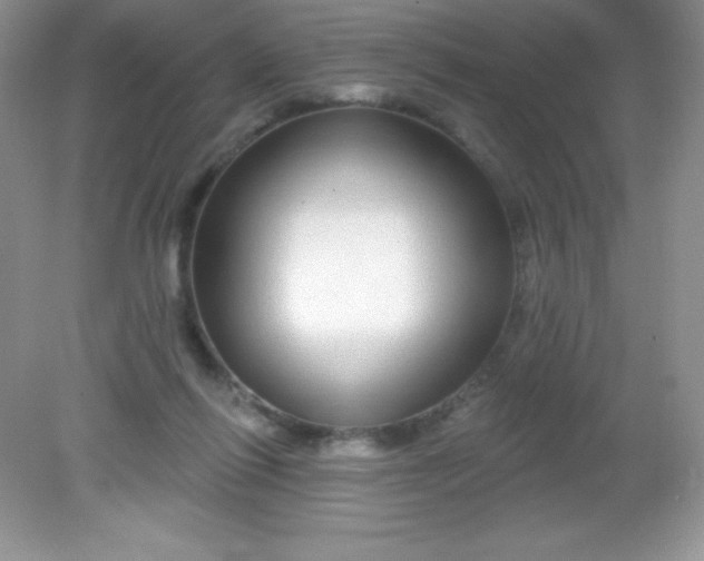 X0000082160262200702021708