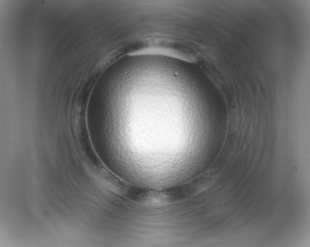 X0000082160263200702021708