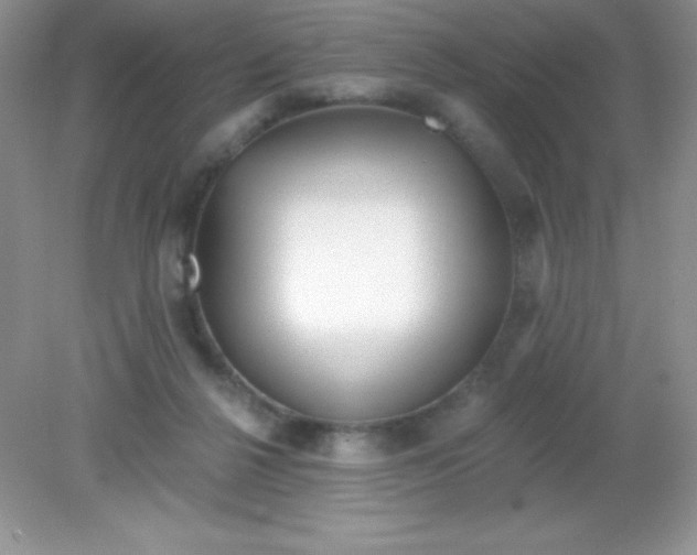 X0000082160264200702021708