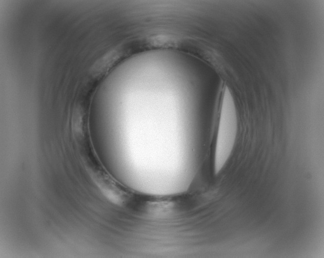 X0000082160266200702021708