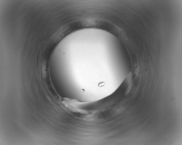 X0000082160267200702021708