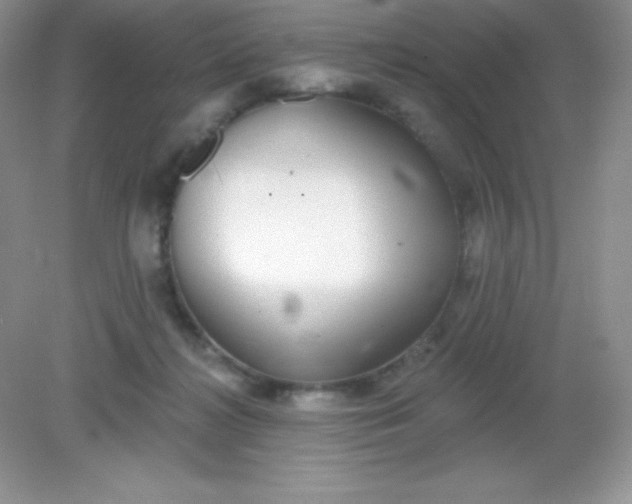 X0000082160268200702021708